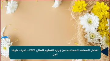 أفضل المعاهد المعتمدة من وزارة التعليم العالي 2025.. تعرف عليها الآن
